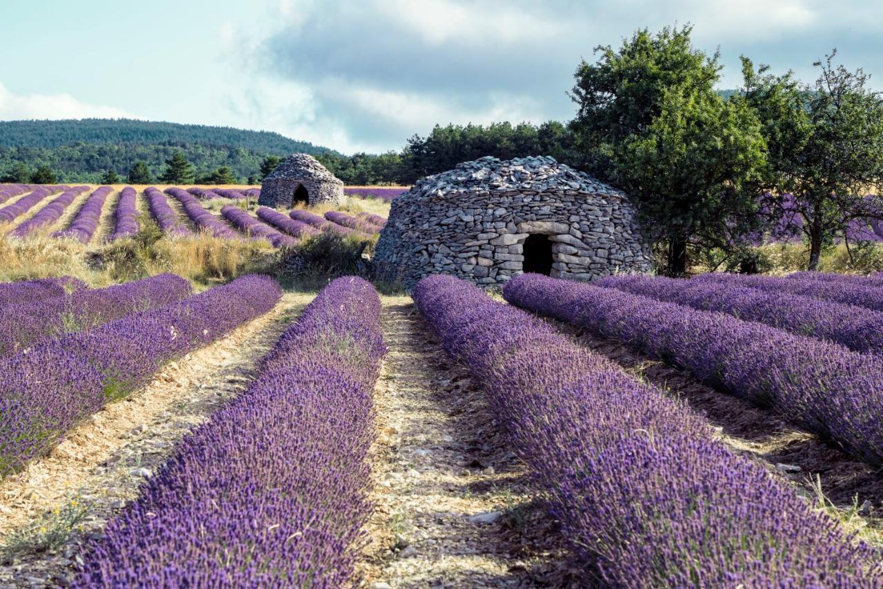 Gite La Bastide De La Loge Au Pied Du Mont Ventoux Sault-de-Vaucluse Exterior photo